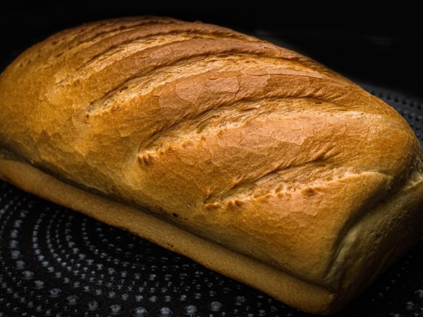 Witbrood