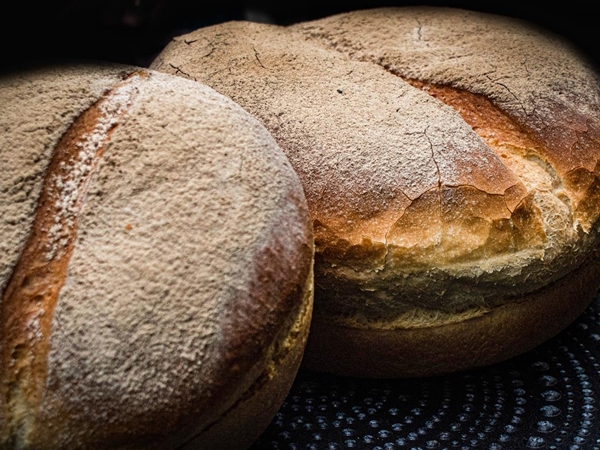Witbrood